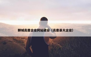 聊城高唐企业网站建设（高唐县大企业）
