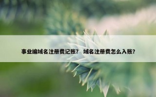事业编域名注册费记账？ 域名注册费怎么入账？
