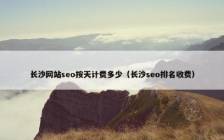 长沙网站seo按天计费多少（长沙seo排名收费）