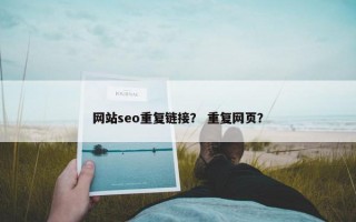 网站seo重复链接？ 重复网页？