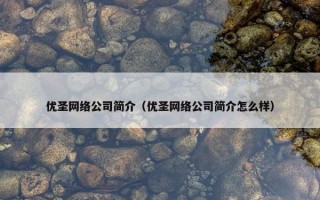 优圣网络公司简介（优圣网络公司简介怎么样）