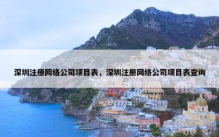 深圳注册网络公司项目表，深圳注册网络公司项目表查询