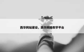 西华网站建设，西华网络教学平台