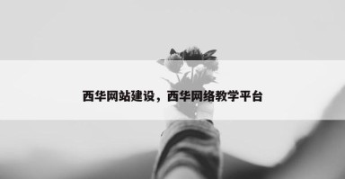 西华网站建设，西华网络教学平台