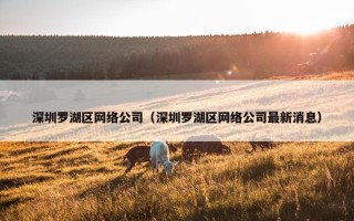 深圳罗湖区网络公司（深圳罗湖区网络公司最新消息）