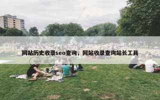 网站历史收录seo查询，网站收录查询站长工具
