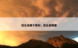 优化选哪个原好，优化是哪里