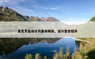 鉴定页面设计方案有哪些，设计鉴定程序