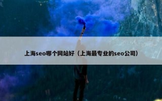 上海seo哪个网站好（上海最专业的seo公司）