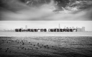 福建seo网站推广价格（福建百度网站推广）