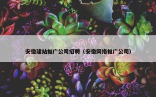 安徽建站推广公司招聘（安徽网络推广公司）
