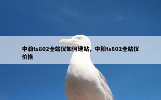 中瀚ts802全站仪如何建站，中翰ts802全站仪价格