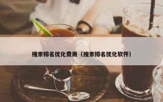 搜索排名优化费用（搜索排名优化软件）