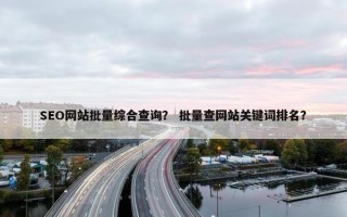 SEO网站批量综合查询？ 批量查网站关键词排名？
