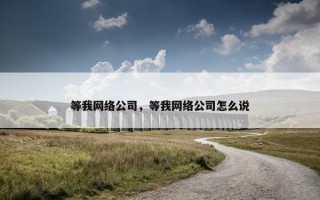 等我网络公司，等我网络公司怎么说