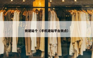 微建站个（手机建站平台微点）