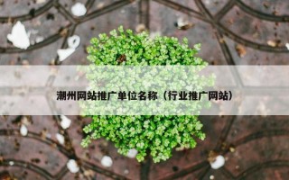 潮州网站推广单位名称（行业推广网站）