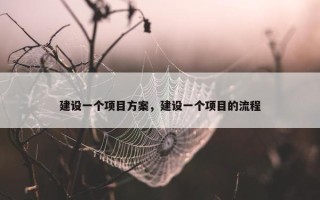 建设一个项目方案，建设一个项目的流程