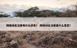 网络域名注册有什么好处？ 网络域名注册是什么意思？
