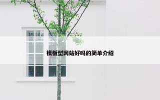 模板型网站好吗的简单介绍