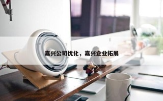 嘉兴公司优化，嘉兴企业拓展