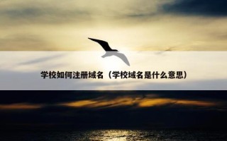 学校如何注册域名（学校域名是什么意思）