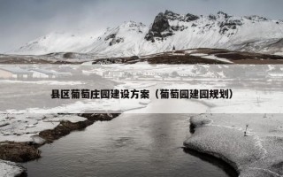 县区葡萄庄园建设方案（葡萄园建园规划）