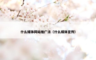 什么媒体网站推广法（什么媒体宣传）