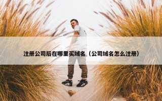 注册公司后在哪里买域名（公司域名怎么注册）