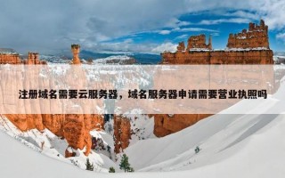 注册域名需要云服务器，域名服务器申请需要营业执照吗