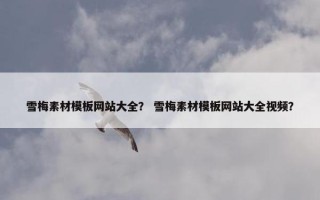 雪梅素材模板网站大全？ 雪梅素材模板网站大全视频？