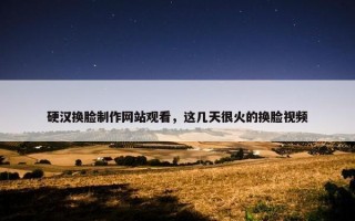 硬汉换脸制作网站观看，这几天很火的换脸视频