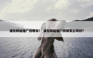 浦东网站推广找哪家？ 浦东网站推广找哪家公司好？