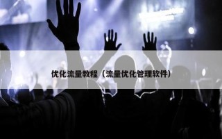 优化流量教程（流量优化管理软件）