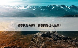 长春优化分析？ 长春网站优化效果？