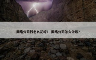 网络公司钱怎么花呀？ 网络公司怎么做账？
