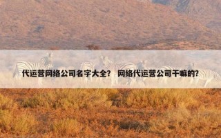 代运营网络公司名字大全？ 网络代运营公司干嘛的？