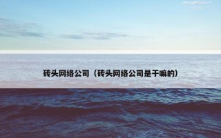 砖头网络公司（砖头网络公司是干嘛的）