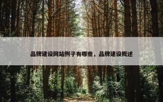 品牌建设网站例子有哪些，品牌建设概述