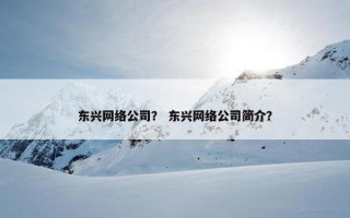 东兴网络公司？ 东兴网络公司简介？