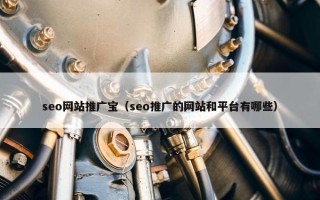 seo网站推广宝（seo推广的网站和平台有哪些）