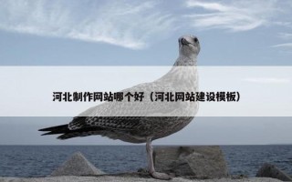 河北制作网站哪个好（河北网站建设模板）