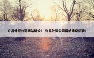 许昌外贸公司网站建设？ 许昌外贸公司网站建设招聘？