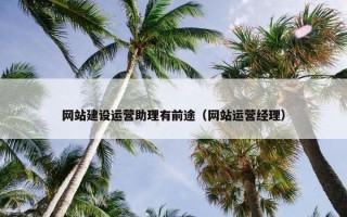 网站建设运营助理有前途（网站运营经理）