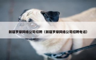新疆罗摩网络公司招聘（新疆罗摩网络公司招聘电话）