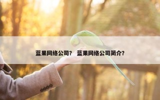 蓝果网络公司？ 蓝果网络公司简介？