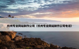 杭州专业网站制作公司（杭州专业网站制作公司电话）