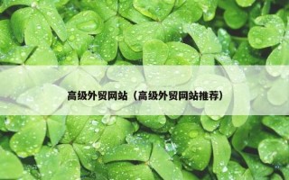 高级外贸网站（高级外贸网站推荐）
