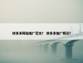 拼多多网站推广范文？ 拼多多推广概况？