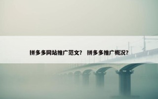 拼多多网站推广范文？ 拼多多推广概况？